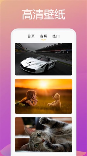 趣玩壁纸图1