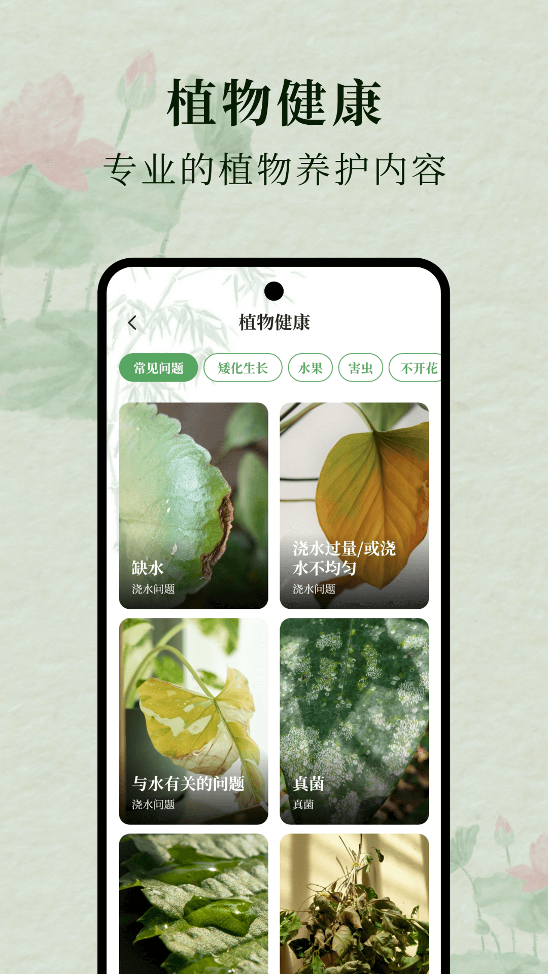 花间集图1