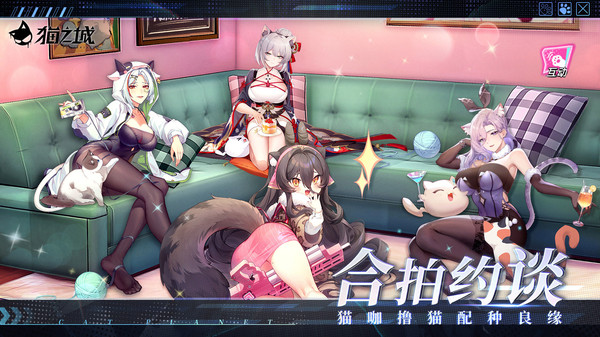 猫之城