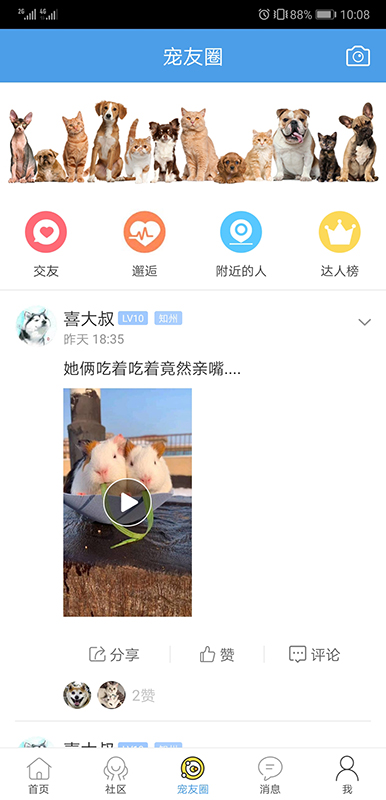 宠物之家图2