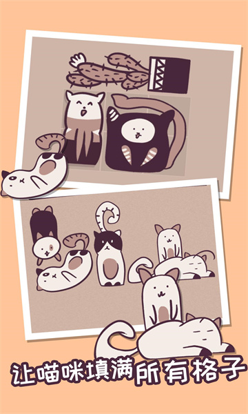 我的小猫贼好看图2