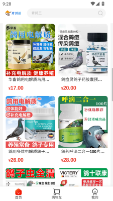 青鸽拍