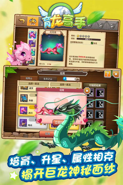 育龙高手图1