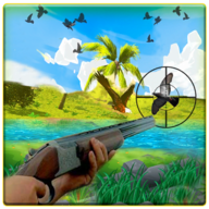 Bird Hunting Master图标