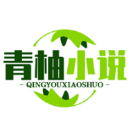 青柚小说图标