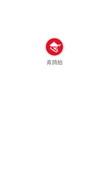 青鸽拍图1