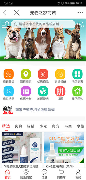 宠物之家图4