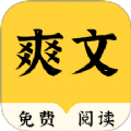 爽文小说阅读器图标
