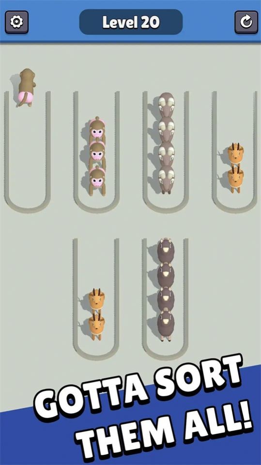 Zoo Sort 3D图2