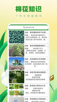 财运绵绵图4