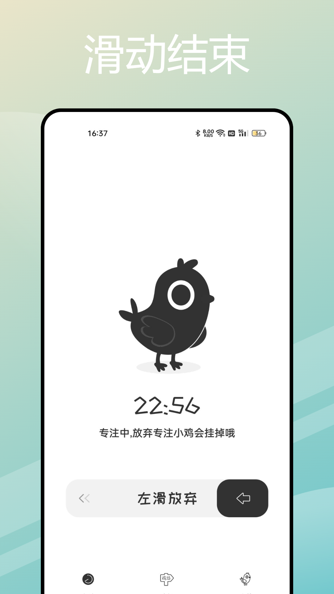 小鸡专注学习图1