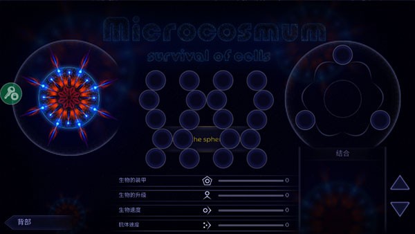 Microcosmum图3