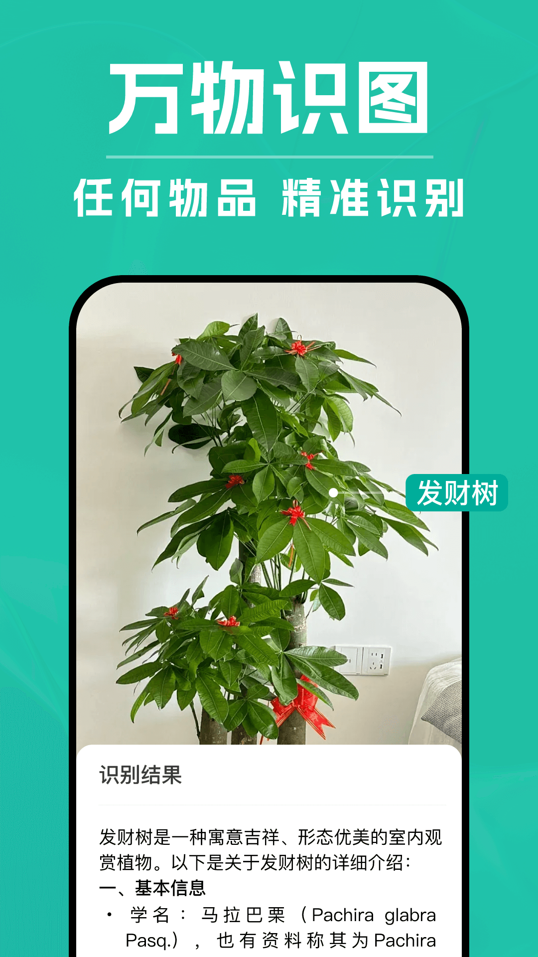DeepAI扫描王图3