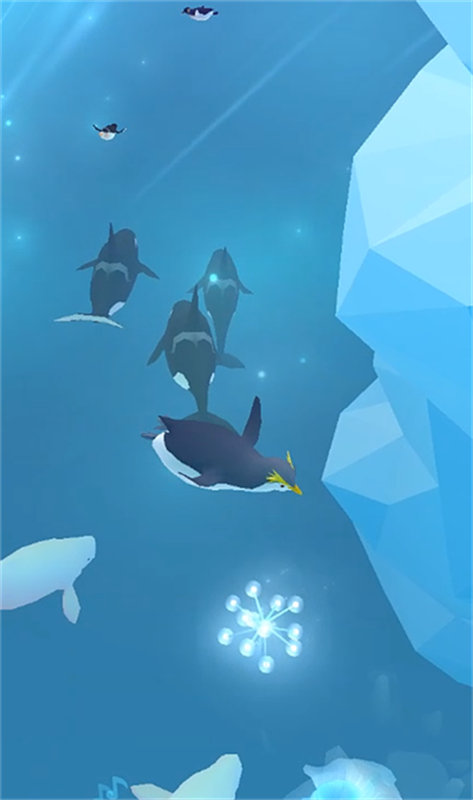 深海水族馆极地图5