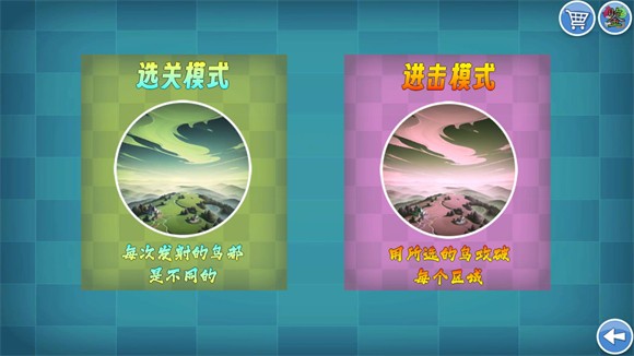 我的鸟随机图3