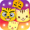 星猫广场图标
