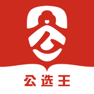 公选王图标
