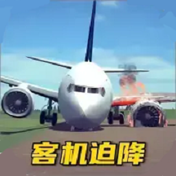 飞机真实飞行模拟游戏图标