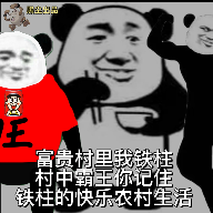 铁柱的农村生活图标
