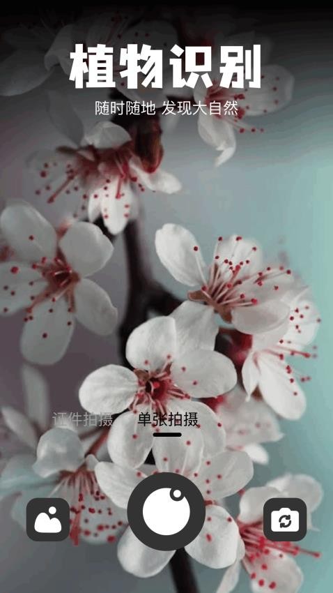 识物宝图3