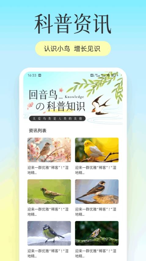 回音鸟儿图1