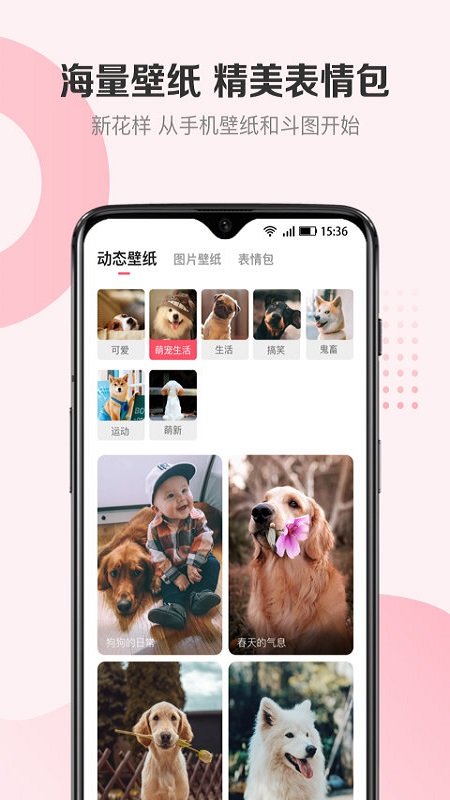 68宠物软件图3