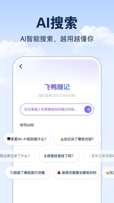 飞鸭随记