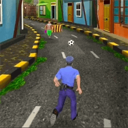 抓住小偷3d手机版图标
