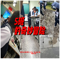 5班的奇妙冒险图标