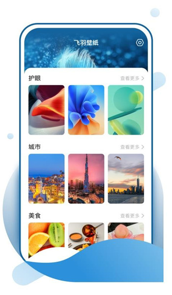飞羽壁纸软件图4