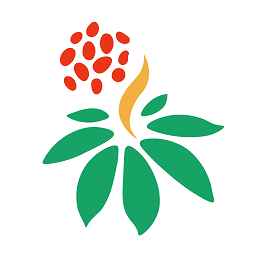 三七通软件图标