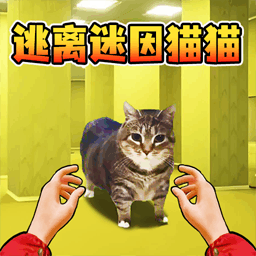 猫咪一起挤图标