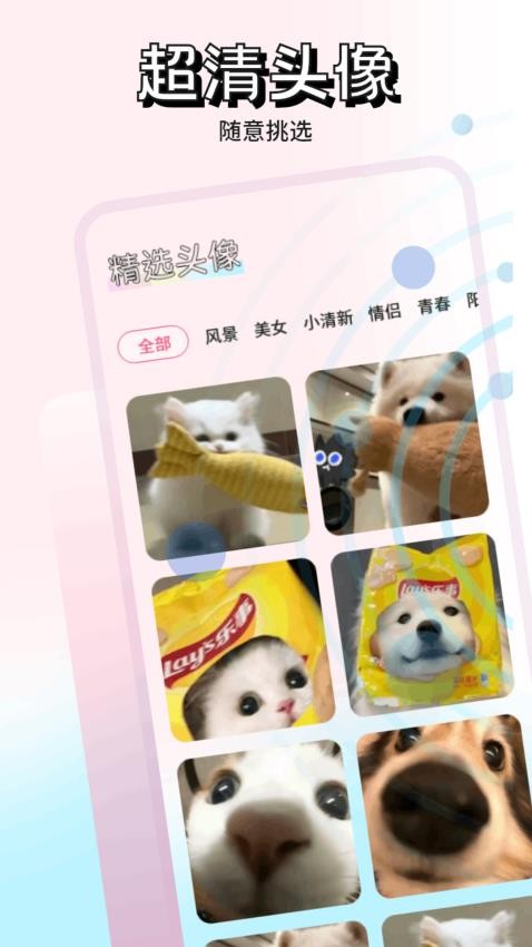 熊猫壁纸软件图3