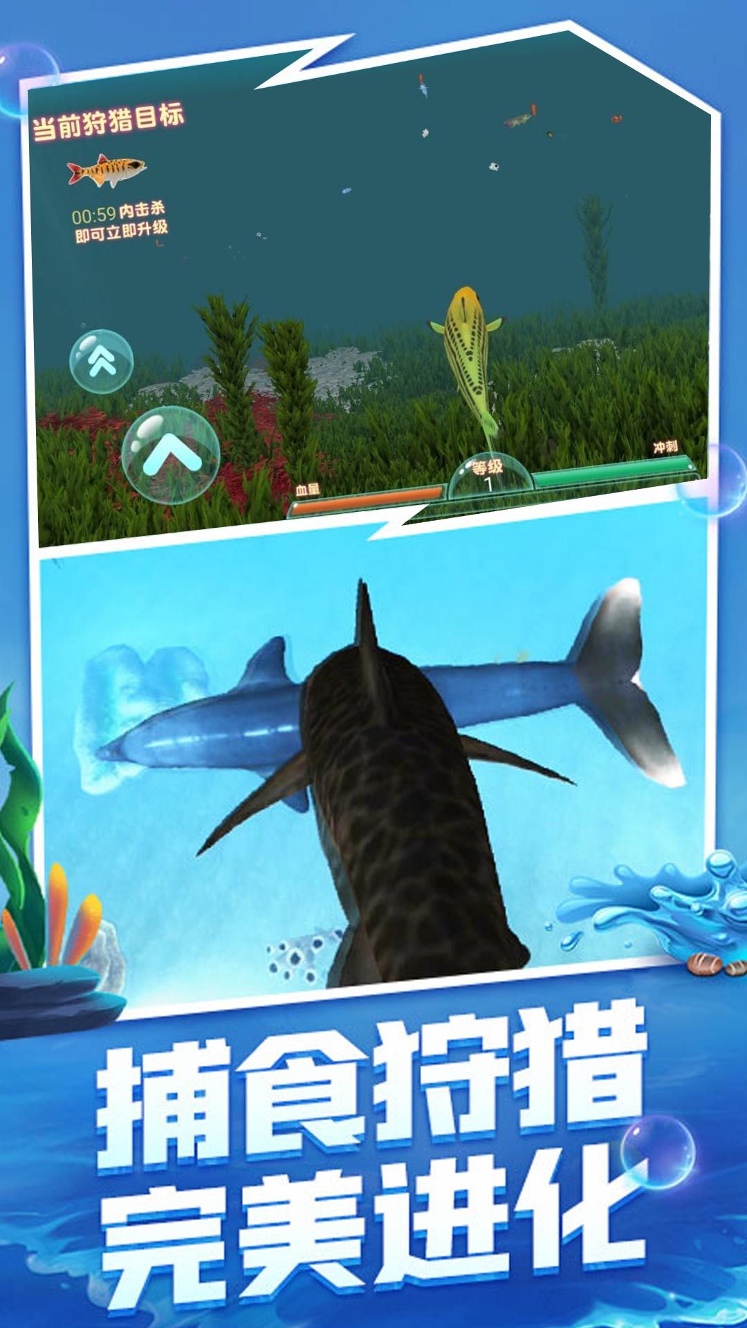 海洋霸主进化记游戏图2