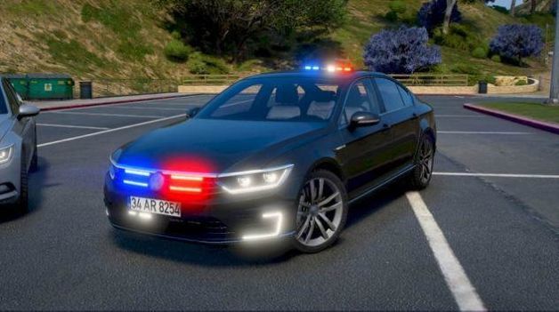Passat Game游戏图3
