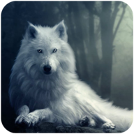 The Wolf图标