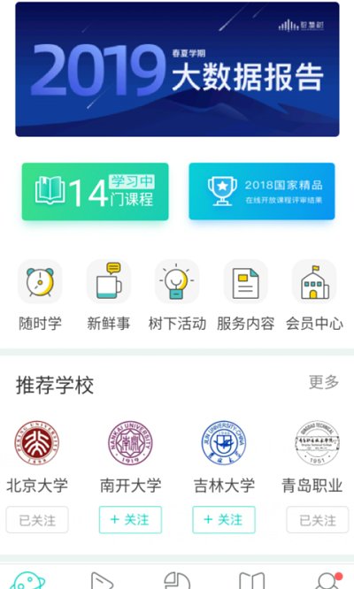 树下app