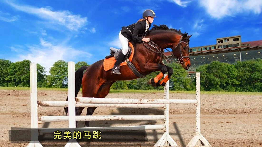 Horse Riding Simulator 3D