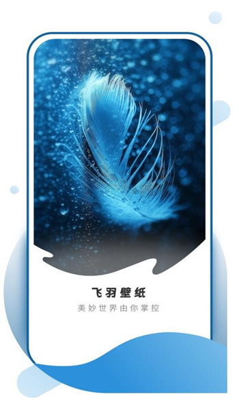 飞羽壁纸软件图1