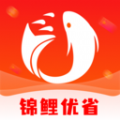锦鲤优省图标