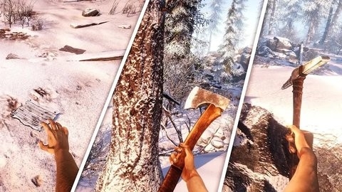Winter Wild Survival Simulator