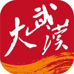 大武汉app图标
