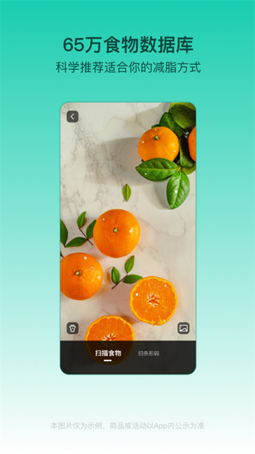 LEFU热量减肥法app图2