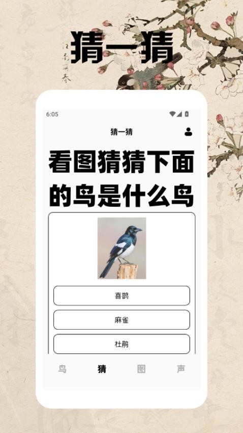 孤独的鸟类大全app图4