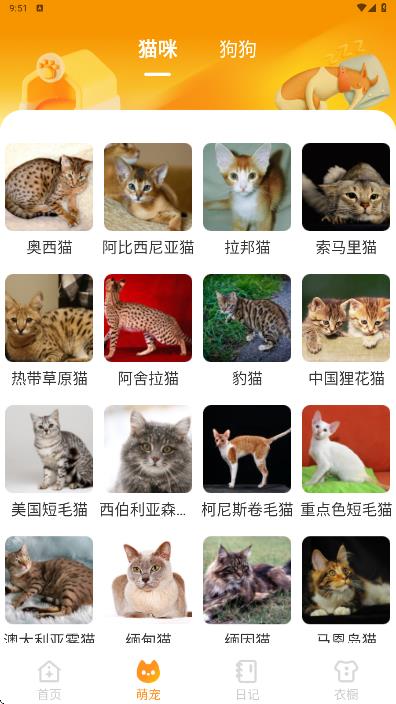 元气手机壁纸app图3