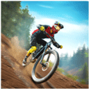 Bicycle Stunts 2图标