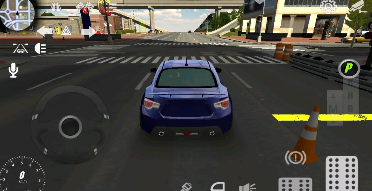 Parking Pro图1