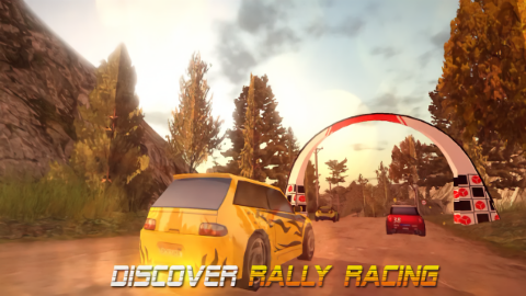 拉力赛车手（DIRT Rally Driver HD Premium）图3