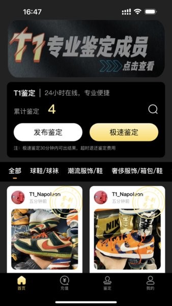 T1鉴定图2