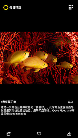 每日精选app图3